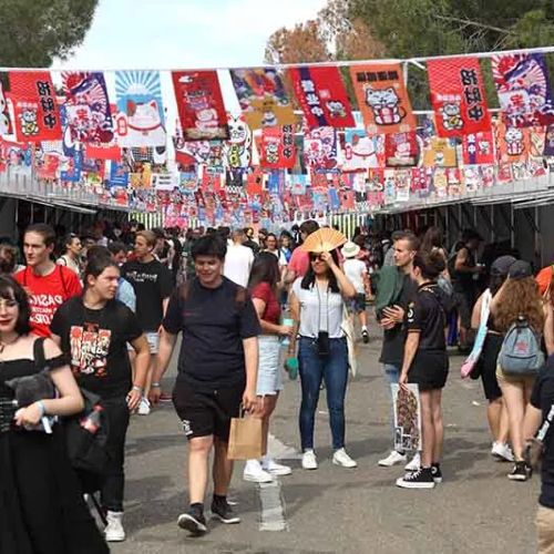 Toledo matsuri