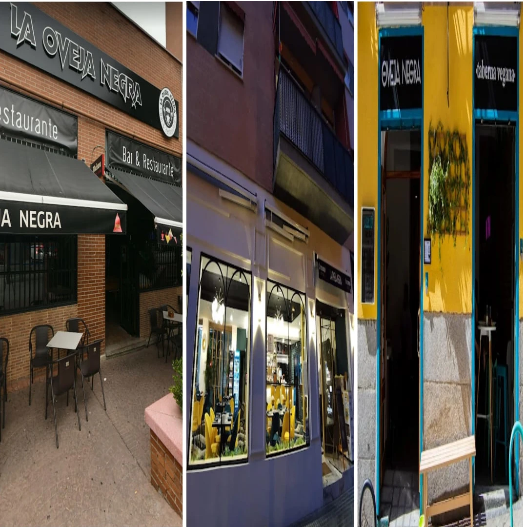 son 2 restaurantes y una taberna ,con el mismo nombre , la oveja negra ,aqui te mostramos que te ofrece cada uno.