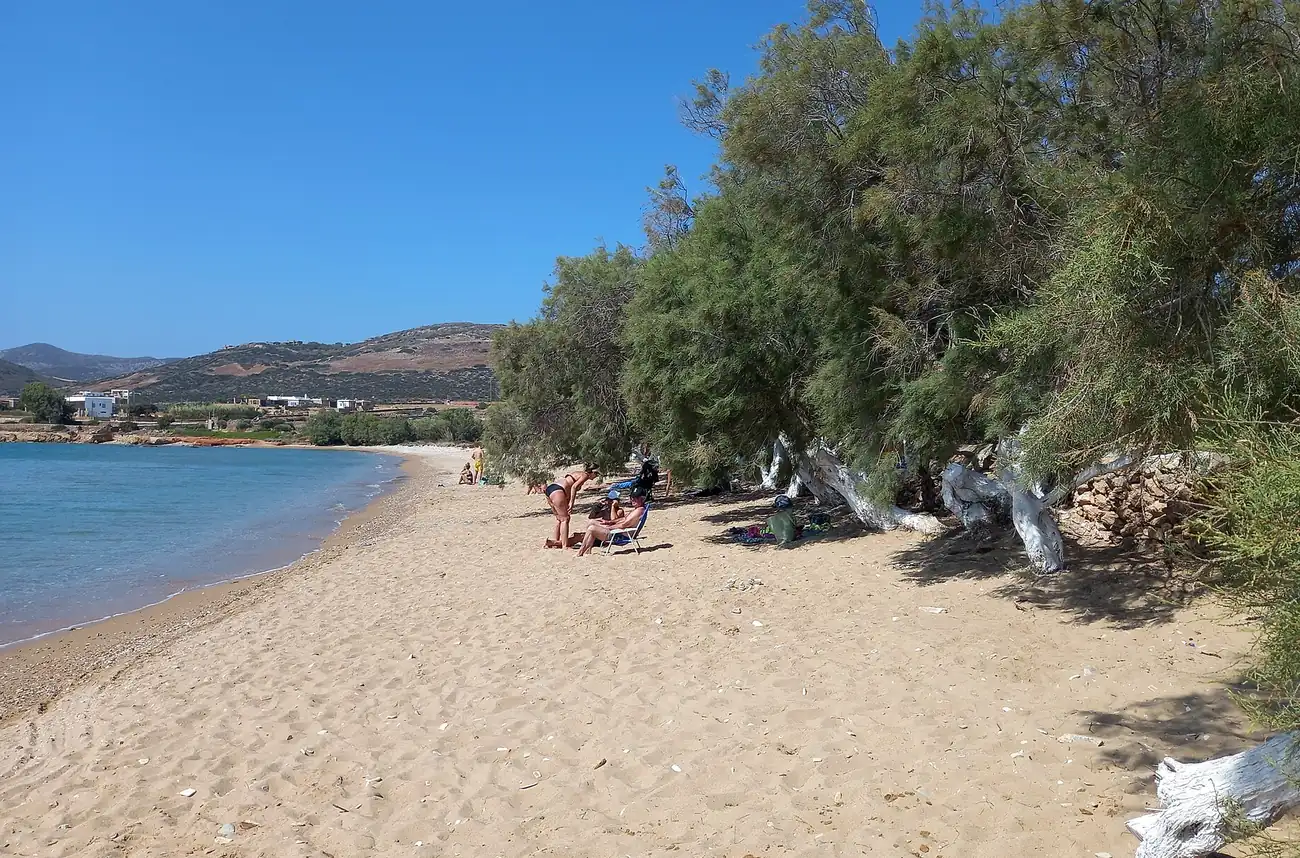Playa de arena de Panagia en Antiparos con tamarindos y agua tranquila